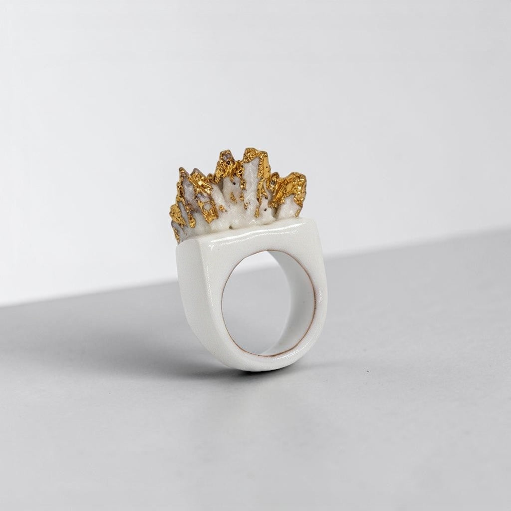 SPONGE RING 2