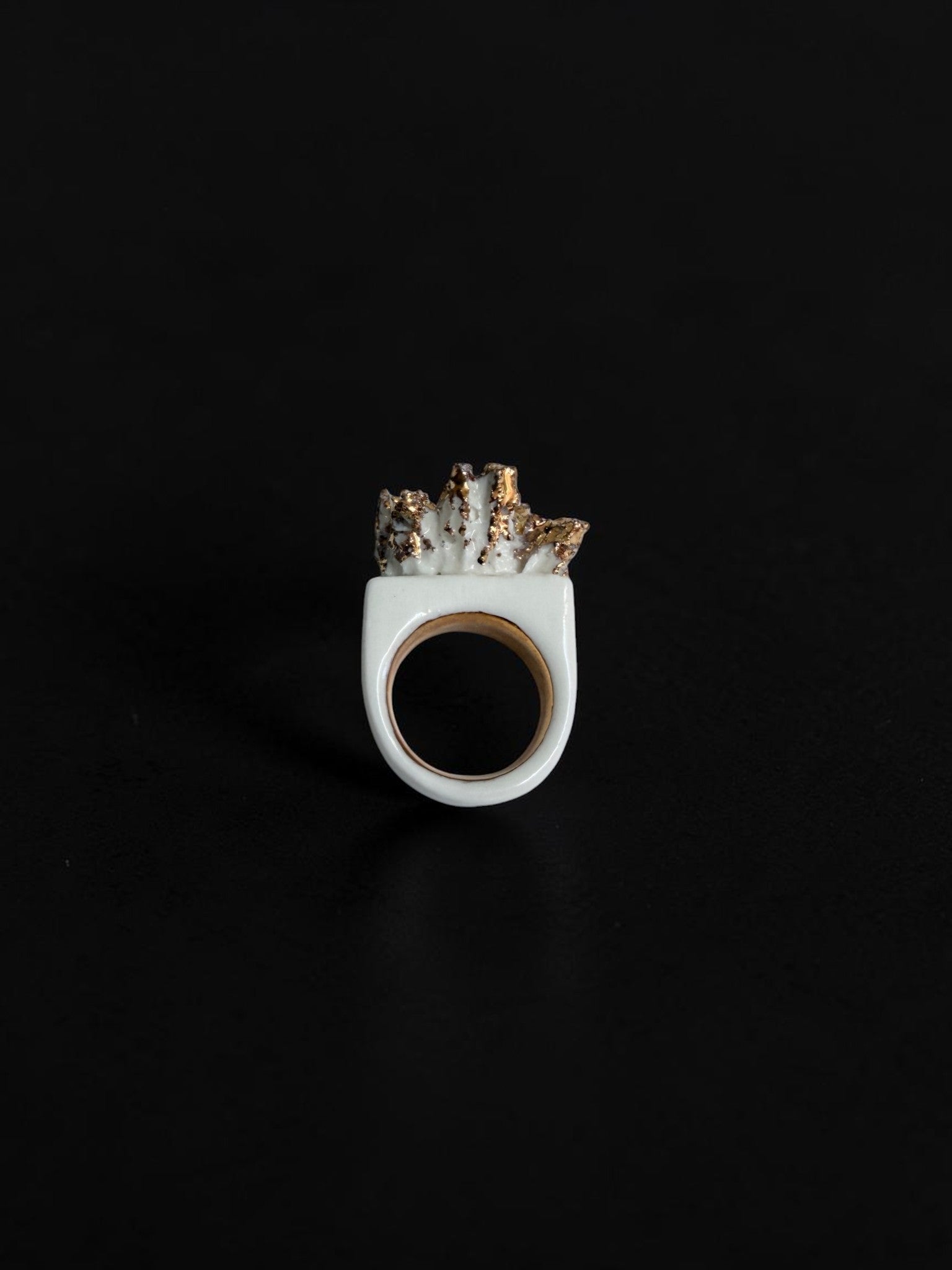SPONGE RING 2
