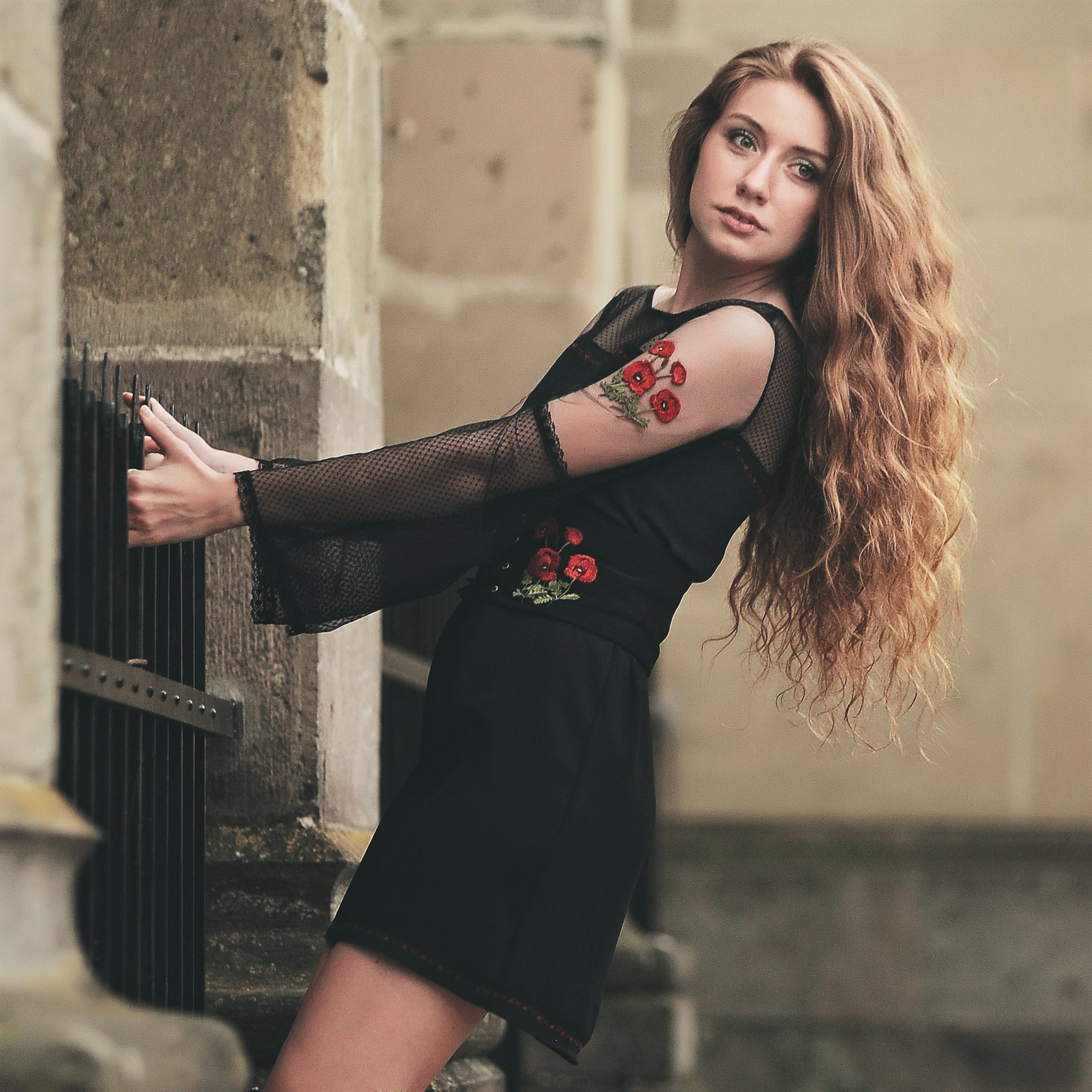 POPPY FIELD FOREVER – BLACK DRESS