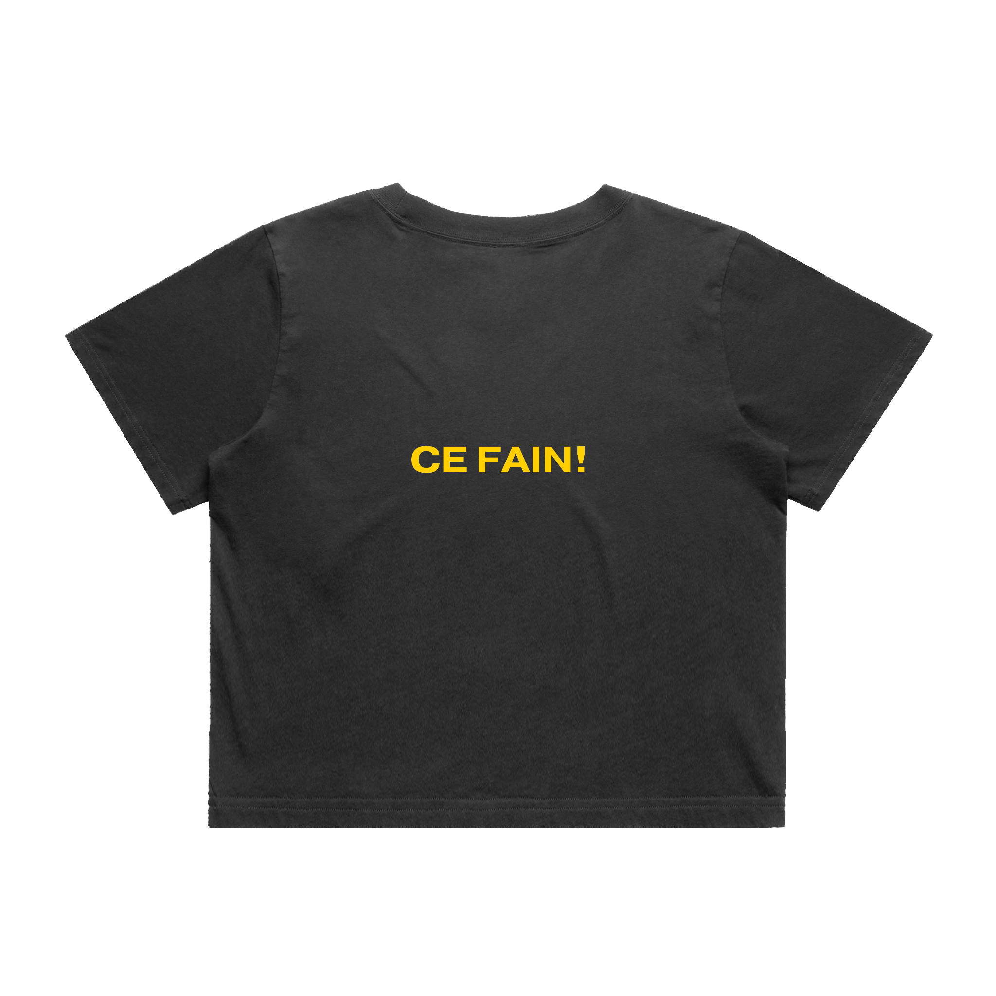 Perfect 10 - Nadia Cropped T-Shirt