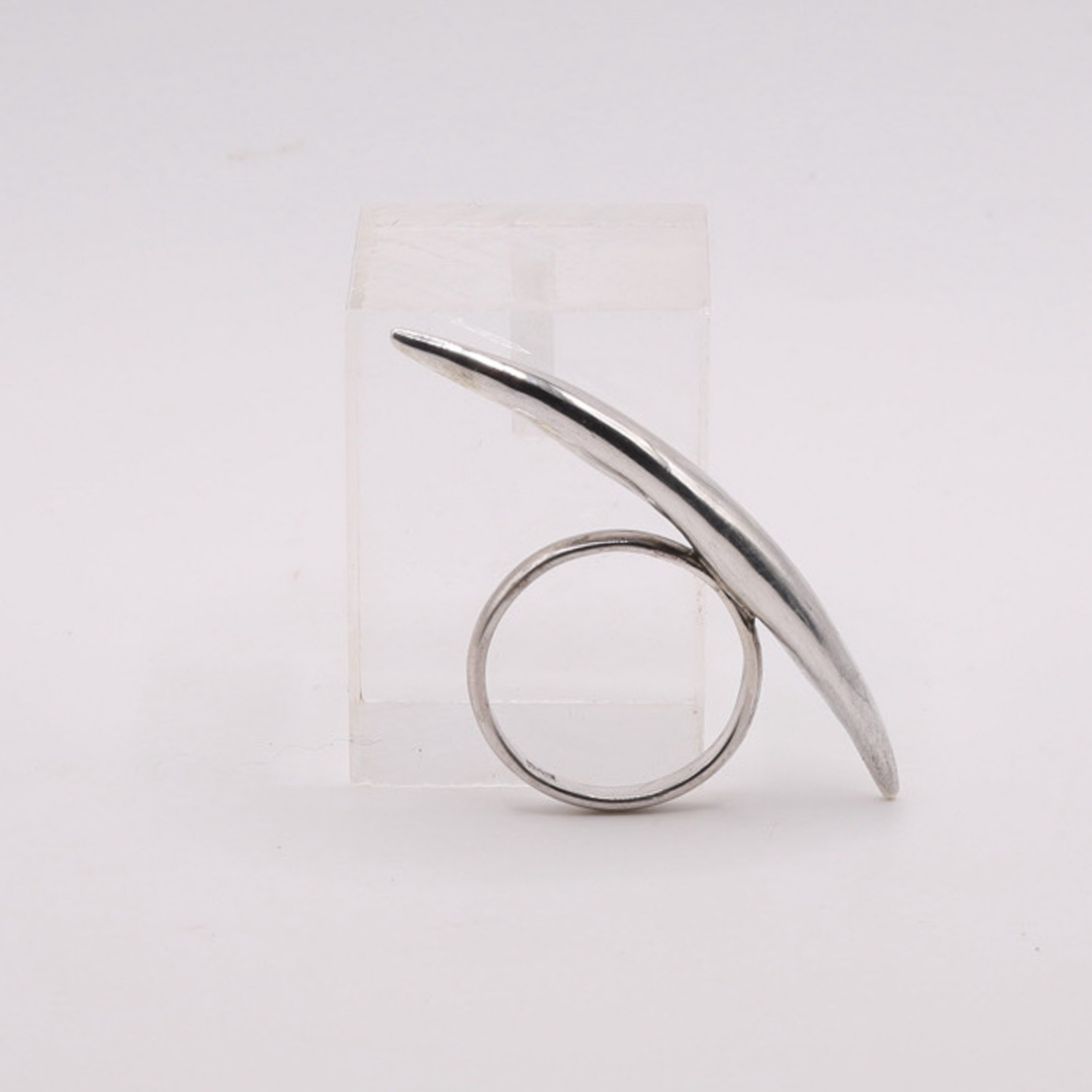 Bird in Flight Ring