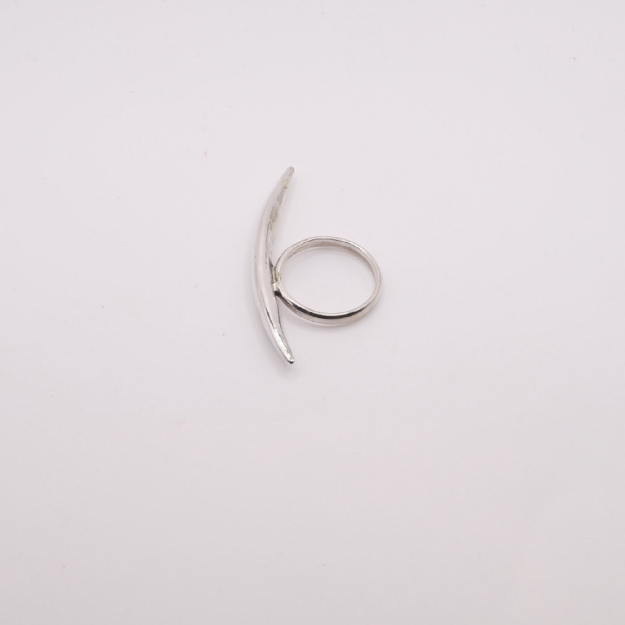 Bird in Flight Ring